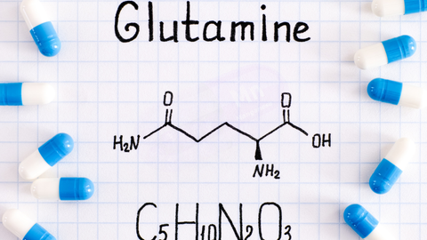 Glutamin: Kas Onarımı, Bağışıklık ve Sindirim Sistemi İçin Bilimsel Destekli Bir Takviye