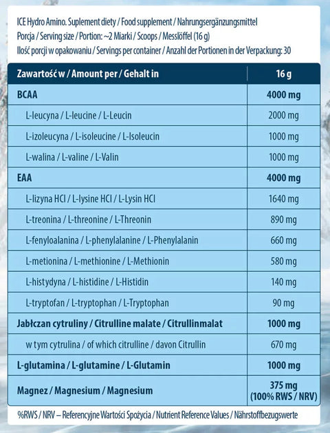 FA ICE Hydro Amino(EAA+GLUTAMİN+BCAA) 480 g