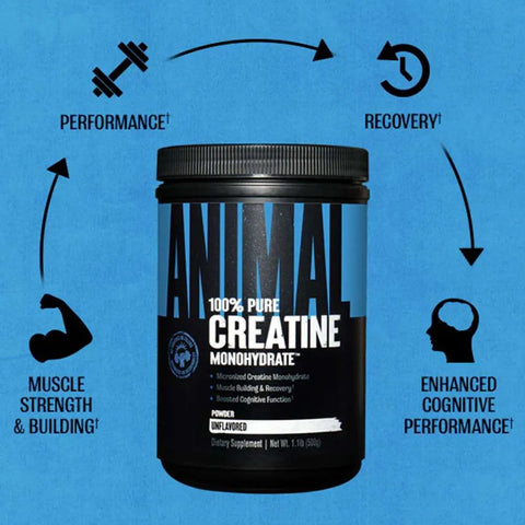 Universal Animal Creatine Monohydrate Monohidrat 500gr - 100 SERVİS