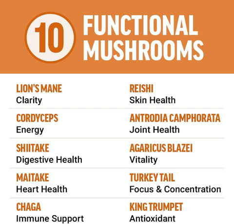 Force Factor Modern Mushrooms Lions Mane Turkey Tail Immunity Cognitive Digestion 90 Vege