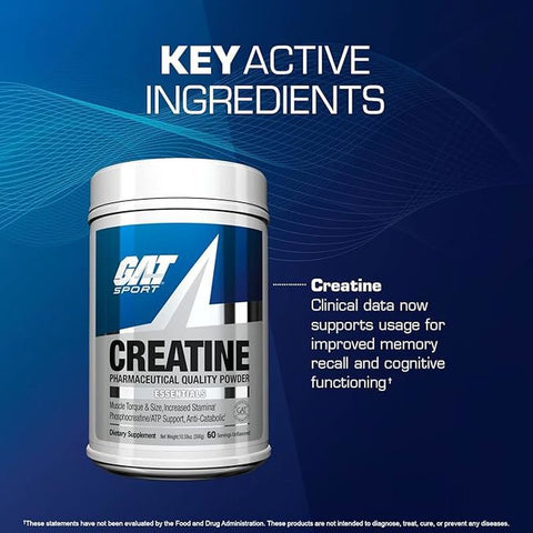 Gat CREATİNE MONOHYDRATE 300 Gram -USA ABD / 60 SERVİS