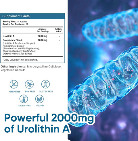 VIVALIFER Urolithin A 2000 MG Antioxidant Promoting Healthy Aging Mitochondrial Health Repair 120
