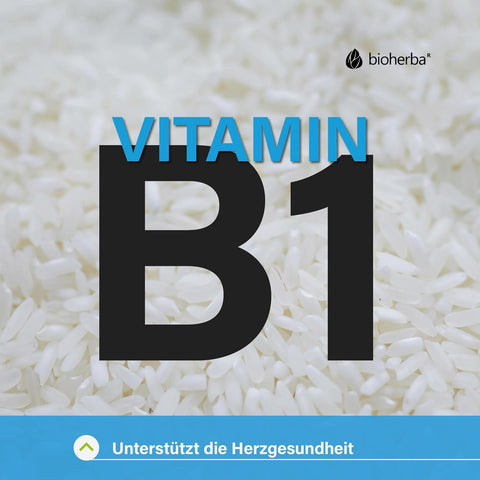 Bioherba Nattokinase Vitamin B1 Thiamin 100 mg 100 Caps