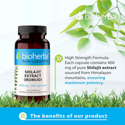 Bioherba Shilajit Extract (Mumijo) 400 mg 100 Caps