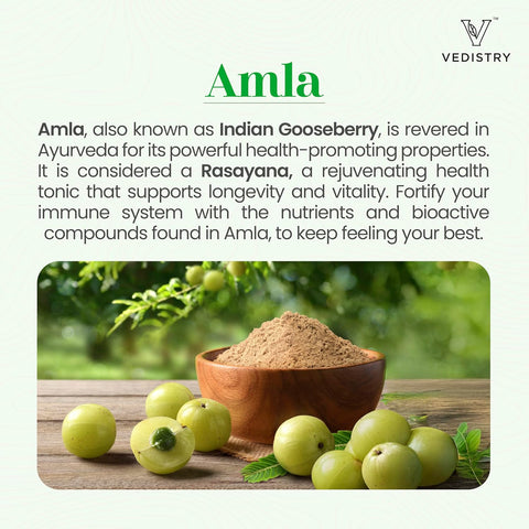 Vedistry Amla+ 1100mg Tablets with Amla & Long Pepper