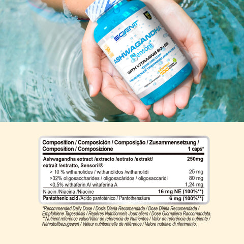 Scenit Nutrition Ashwagandha Sensoril® with and Vitamin B3 and B5 - 100 vegan caps