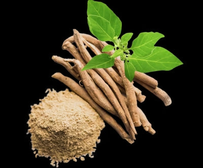 Nutrend Ashwagandha KSM66 60 Capsul