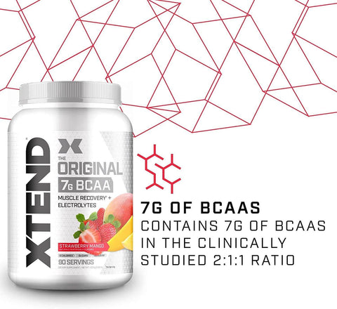 XTEND BCAA 90 SERVİS