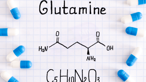 Glutamin: Kas Onarımı, Bağışıklık ve Sindirim Sistemi İçin Bilimsel Destekli Bir Takviye - Supplementhane