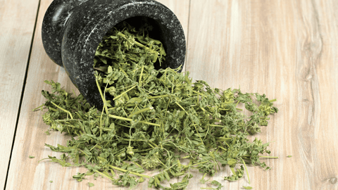 Tribulus Nedir, Ne İşe Yarar? - Supplementhane
