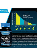 Wellnees Labs NAD + Resveratrol 1500 mg 90 Kapsül