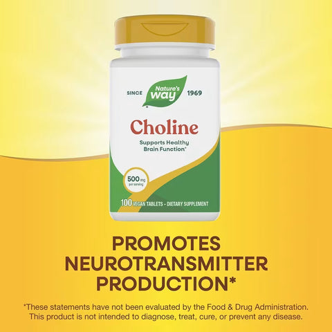 Nature's Way Choline bitartrate 500 mg 100 Vegan Tablets