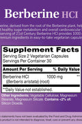 21st Century Berberine HCI Glucose Support 60 Vegetarian Capsules