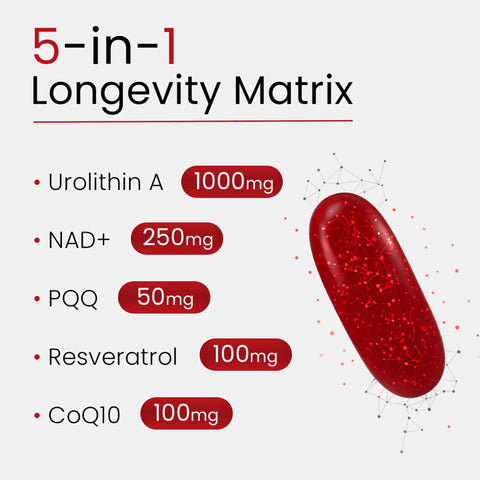 Bloomeo Urolithin A NAD Resveratrol CoQ10 Ubiquinone PQQ 5-in-1 120 Softgels