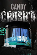 Animal Creatine Monohydrate Chews 120 Chewable Tablet