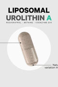Codeage Liposomal Urolithin A Resveratrol CoQ10 Phospholipid 60 Caps