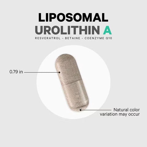 Codeage Liposomal Urolithin A Resveratrol CoQ10 Phospholipid 60 Caps