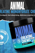 Animal Creatine Monohydrate Chews 120 Chewable Tablet