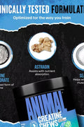 Animal Creatine Monohydrate Chews 120 Chewable Tablet