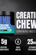 Animal Creatine Monohydrate Chews 120 Chewable Tablet