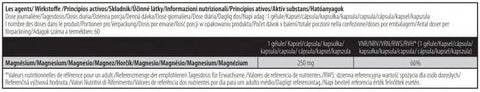 Biotech USA Magnesium + Chelate bisglisinat 60 Caps