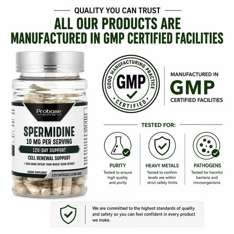 Probase Nutrition Spermidine Wheat Germ Extract 10mg of 99% Spermidine 3HCL 120 Caps