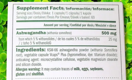 Amix Provegan Ashwagandha KSM66 Pure 60 Kapsül - Supplementhane