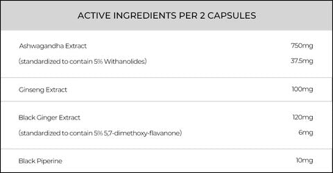 OXYENERGY ASHWAGANDHA+GİNSENG+PİPERİNE+BLACK GİNGER EXTRACT 60 CAPS