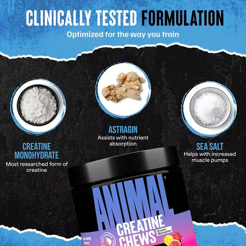 Animal Creatine Chews 120 Chewable Tablets - Fruit Punch