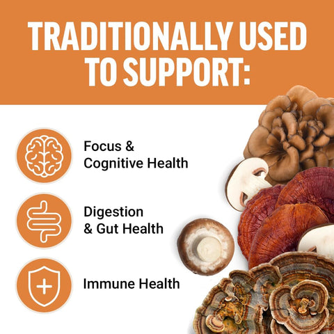 Force Factor Modern Mushrooms Lions Mane Turkey Tail Immunity Cognitive Digestion 90 Vege