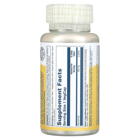 Solaray, Niacinamide, 500 mg, 100 VegCaps - Non flush (Cilt desteği)