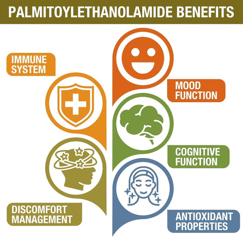 Rosmolo 1500 MG Palmitoylethanolamide with Luteolin 98% & Turmeric 60 Tablet