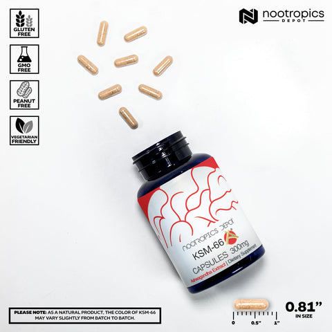 Nootropics Depot KSM66 Ashwagandha Capsules | 300mg | 90 Count -
