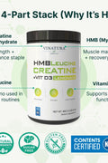 VINATURA Creatine Monohydrate HMB Powder with Leucine Losin Vitamin D3 - Muscle Defense - Vegan Lemonade Flavor 30 Serving