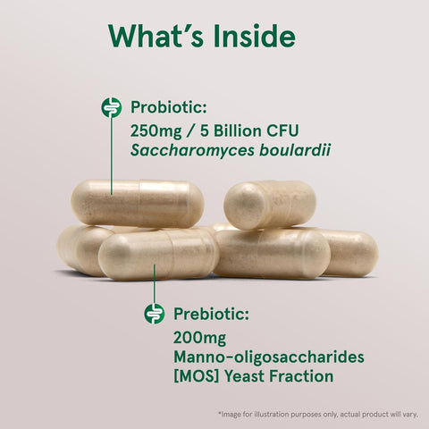 Jarrow Formulas, Vegan Saccharomyces Boulardii Probiyotik + Prebiyotik MOS, 5 Billion CFU, 90 Veggie Caps