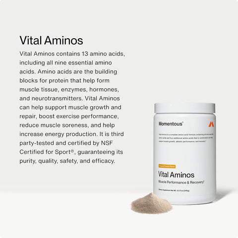 Momentous Vital Aminos Powder BCAA & EAA NSF Certified for Sport - GMO- & Gluten-Free - 30 Servings