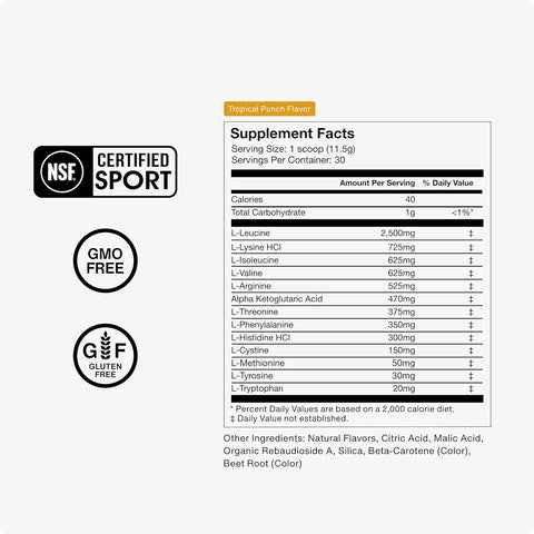 Momentous Vital Aminos Powder BCAA & EAA NSF Certified for Sport - GMO- & Gluten-Free - 30 Servings
