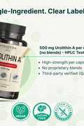 VINATURA Urolithin A 500mg Urolithin A+ Antioxidants Anti-Aging & Mitochondrial Support 30 Caps
