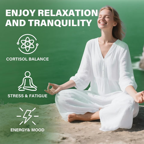 inGreens Cortisol 15-in-1 Ashwagandha Theanine & Lemon balm Rhodiola Magnesium Relaxation & Restful Sleep 60 Caps