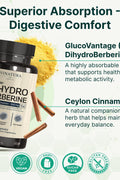 VINATURA Dihydroberberine with Ceylon Cinnamon, 500mg Patented GlucoVantage Super Berberine 30 Caps