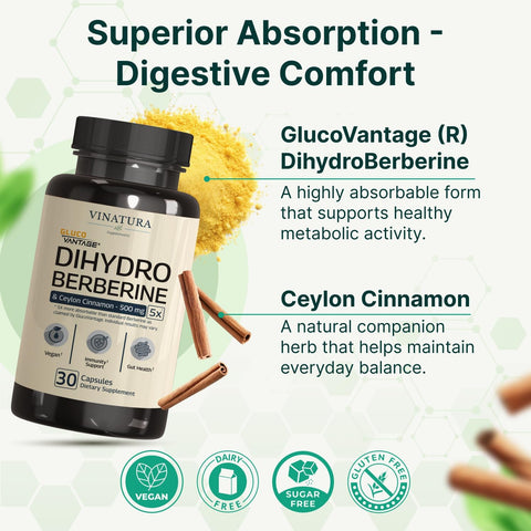 VINATURA Dihydroberberine with Ceylon Cinnamon, 500mg Patented GlucoVantage Super Berberine 30 Caps