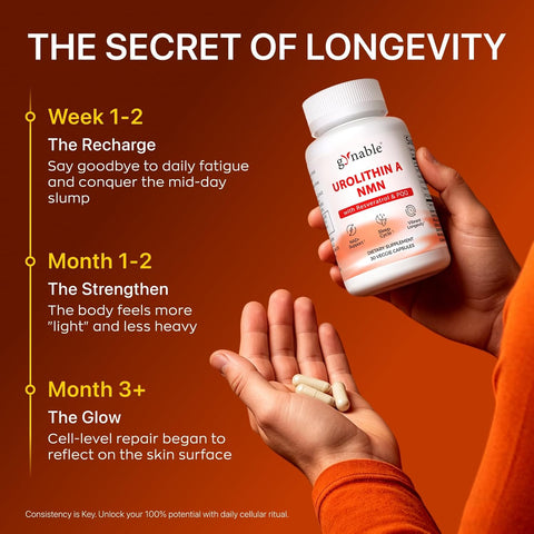 Gynable Patented Urolithin NMN Trans-Resveratrol & PQQ4-IN-1 Complex 30 Caps