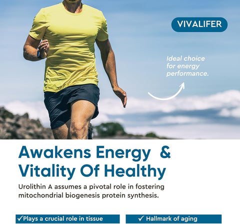 VIVALIFER Urolithin A 2000 MG Antioxidant Promoting Healthy Aging  Mitochondrial Health Repair 120
