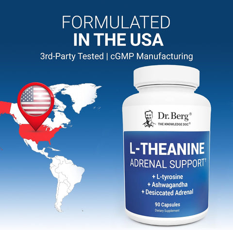 Dr. Berg L-Theanine with Ashwagandha & L-Tyrosine, Zinc & Manganese Adrenal Support Advanced 9-in-1 Adaptogen & Mineral 90 Caps