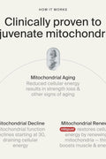 Timeline Mitopure Urolithin A Healthy Aging and Cellular Longevity 60 Softgels