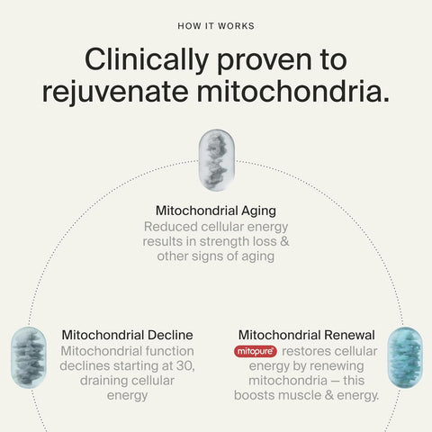 Timeline Mitopure Urolithin A Healthy Aging and Cellular Longevity 60 Softgels