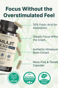 VINATURA Shilajit for Men and Women Pure Himalayan Shilajit 1000mg 50% Fulvic Acid - 60 Caps