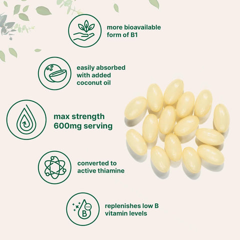 Micro Ingredients Vitamin B1 Benfotiamine 600mg Per Serving, 240 Coconut Oil Softgels