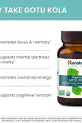 Himalaya Organic Gotu Kola Nootropic with Adaptogens for Energy, Focus, Memory Brain Cognitive 90 Caplet
