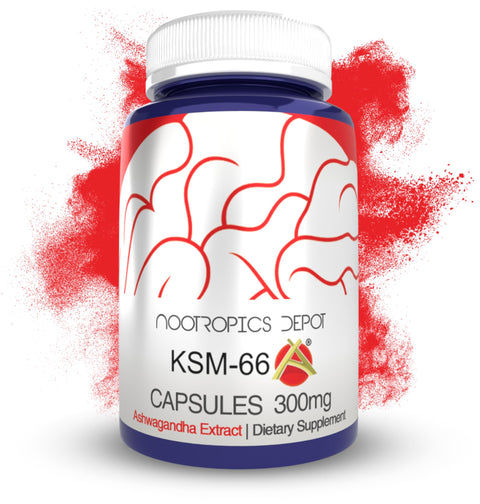 Nootropics Depot KSM66 Ashwagandha Capsules | 300mg | 90 Count -
